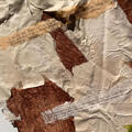 "Dear Motherland –Love, Summer Baby" 2: Close-up; Papier-mâché on Cardboard